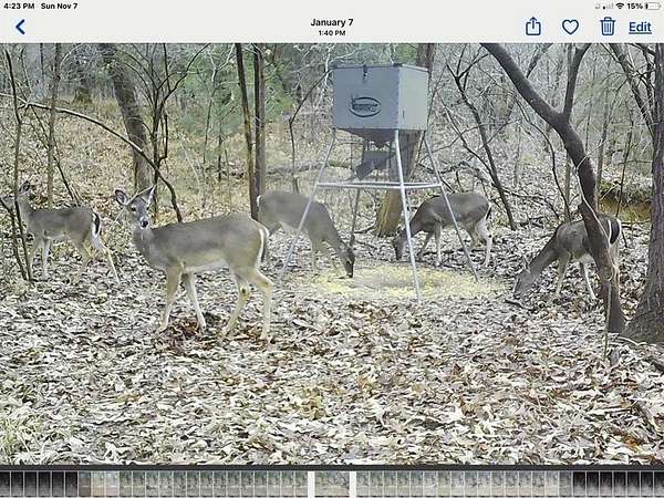 69.8 Acres of Land for Sale in Sumner, Texas