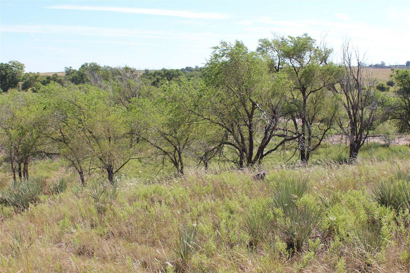 180 Acres of Land for Sale in Memphis, Texas