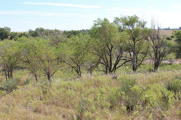 180 Acres of Land for Sale in Memphis, Texas