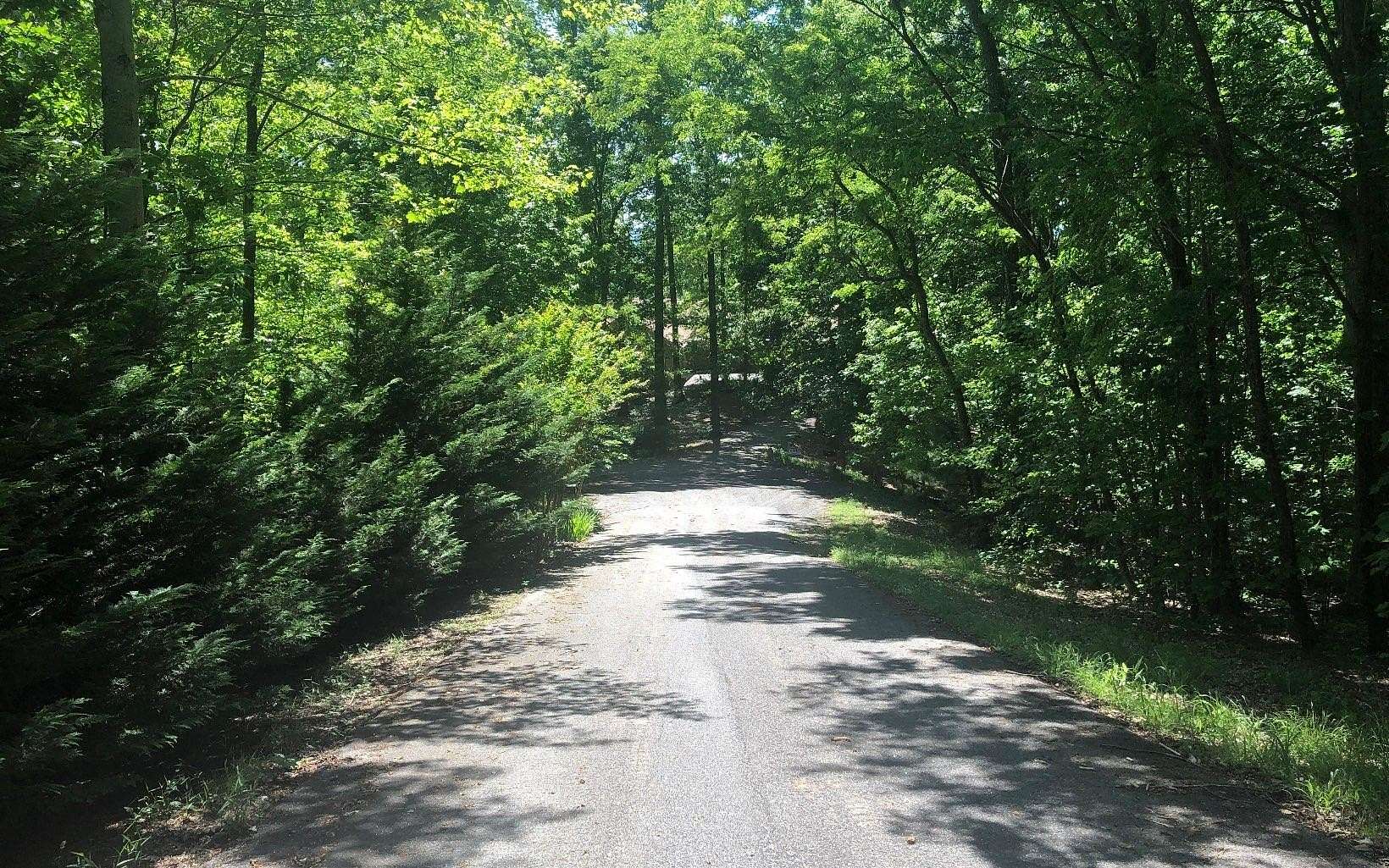 1.49 Acres of Residential Land for Sale in Blairsville, Georgia