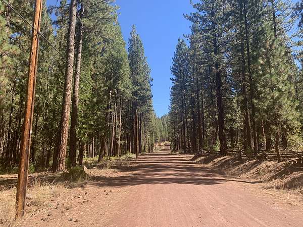 1 Acre of Residential Land for Sale in Adin, California