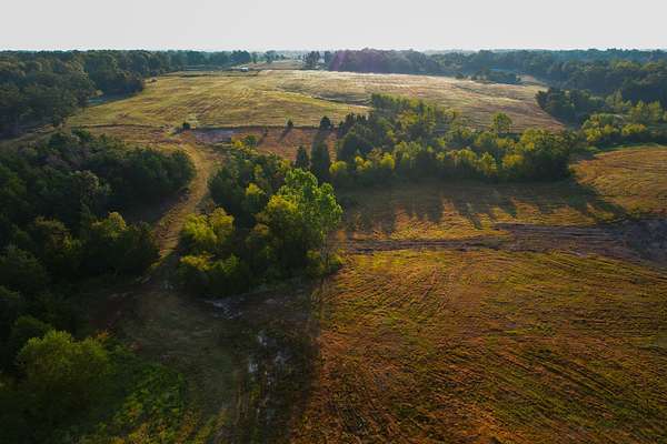 100 Acres of Recreational Land & Farm for Sale in Sumner, Texas