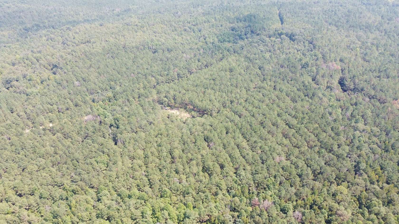 39 Acres of Recreational Land for Sale in Millport, Alabama