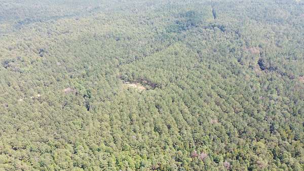 39 Acres of Recreational Land for Sale in Millport, Alabama