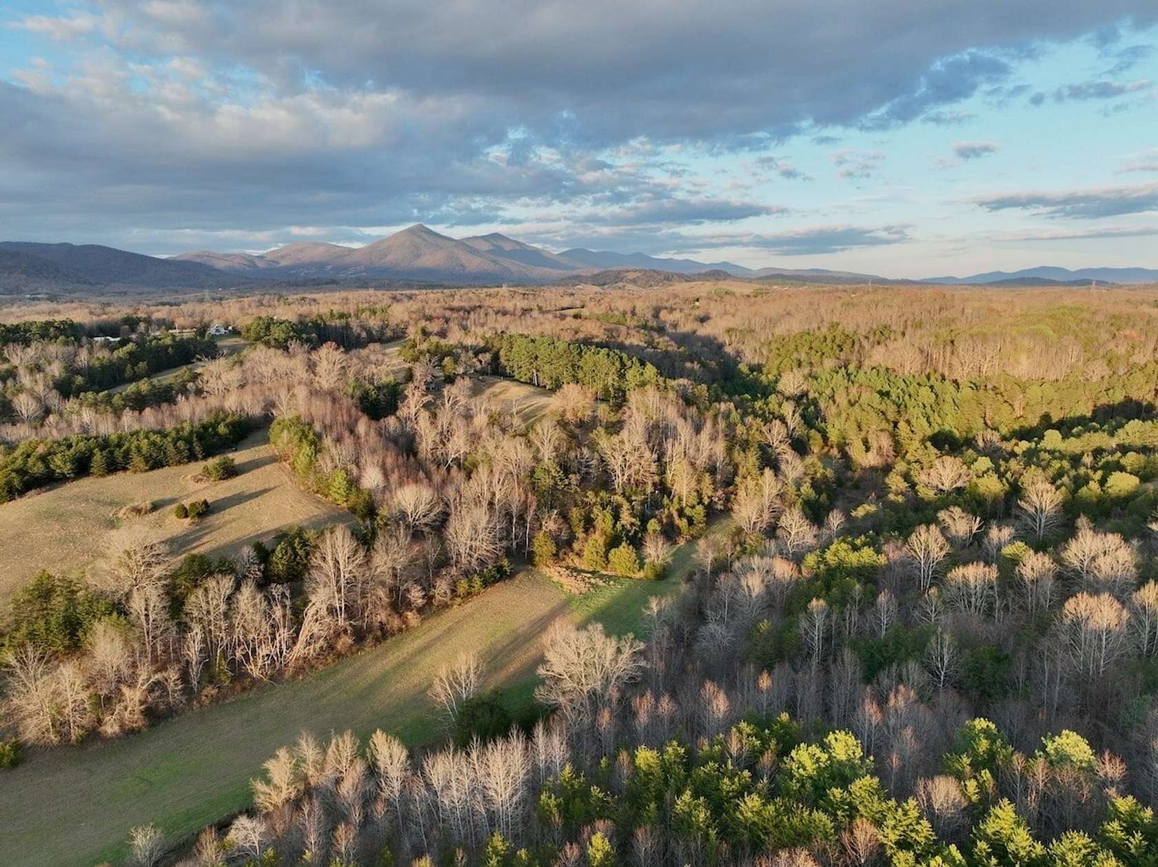 155 Acres of Land for Sale in Thaxton, Virginia