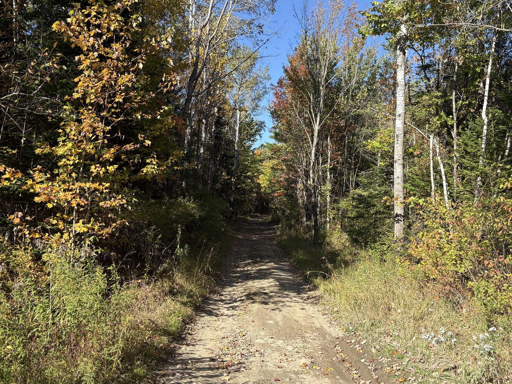 29.5 Acres of Recreational Land for Sale in Plymouth, Maine