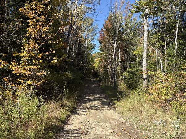 29.5 Acres of Recreational Land for Sale in Plymouth, Maine