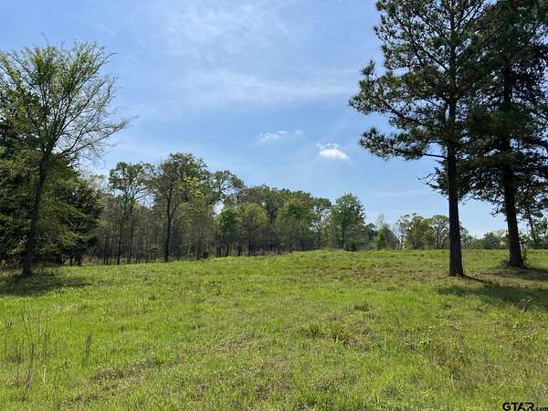 3.89 Acres of Residential Land for Sale in Winona, Texas