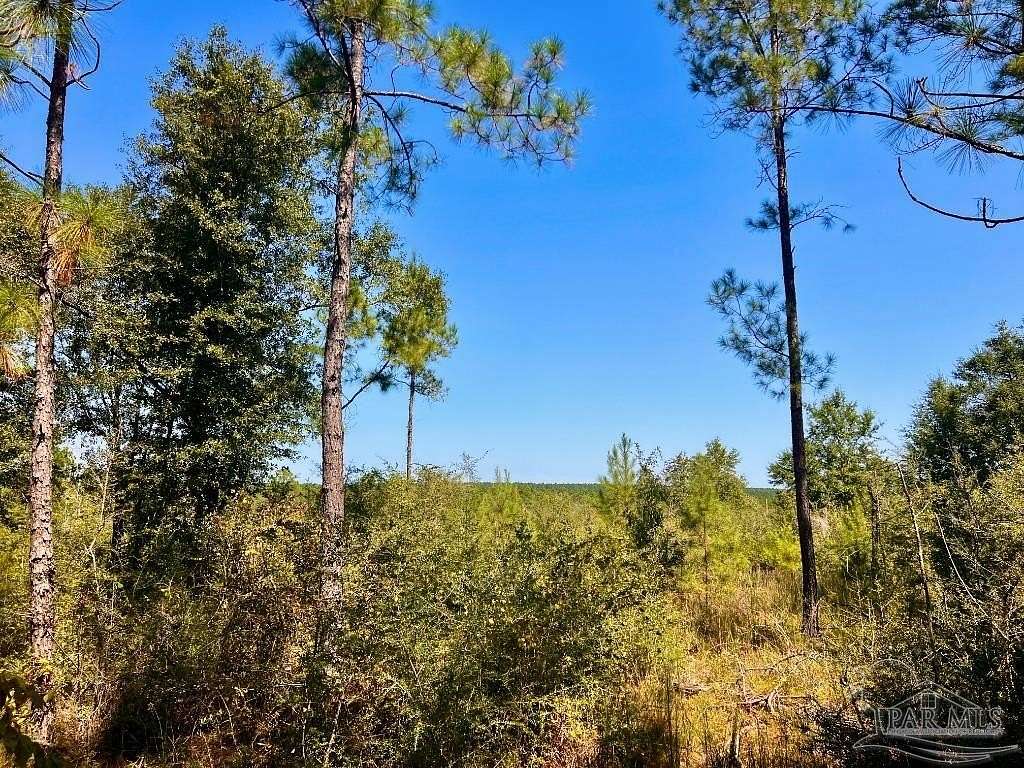 4.13 Acres of Residential Land for Sale in Molino, Florida