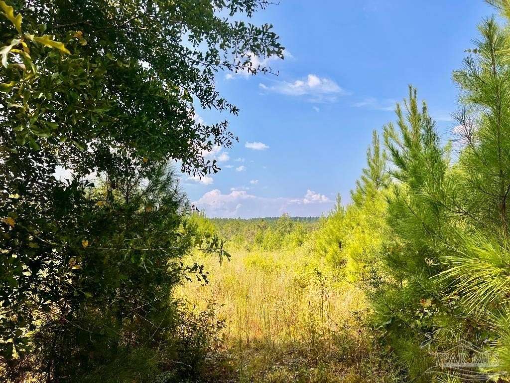 9.14 Acres of Residential Land for Sale in Molino, Florida