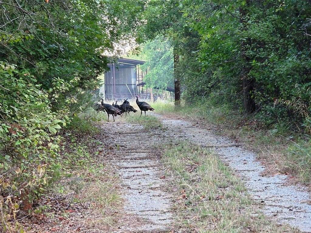 224 Acres of Recreational Land for Sale in Eastland, Texas