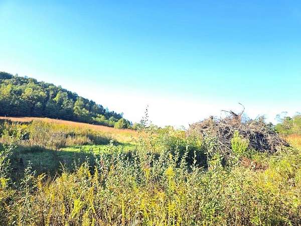 Commercial Land for Sale in Jumping Branch, West Virginia