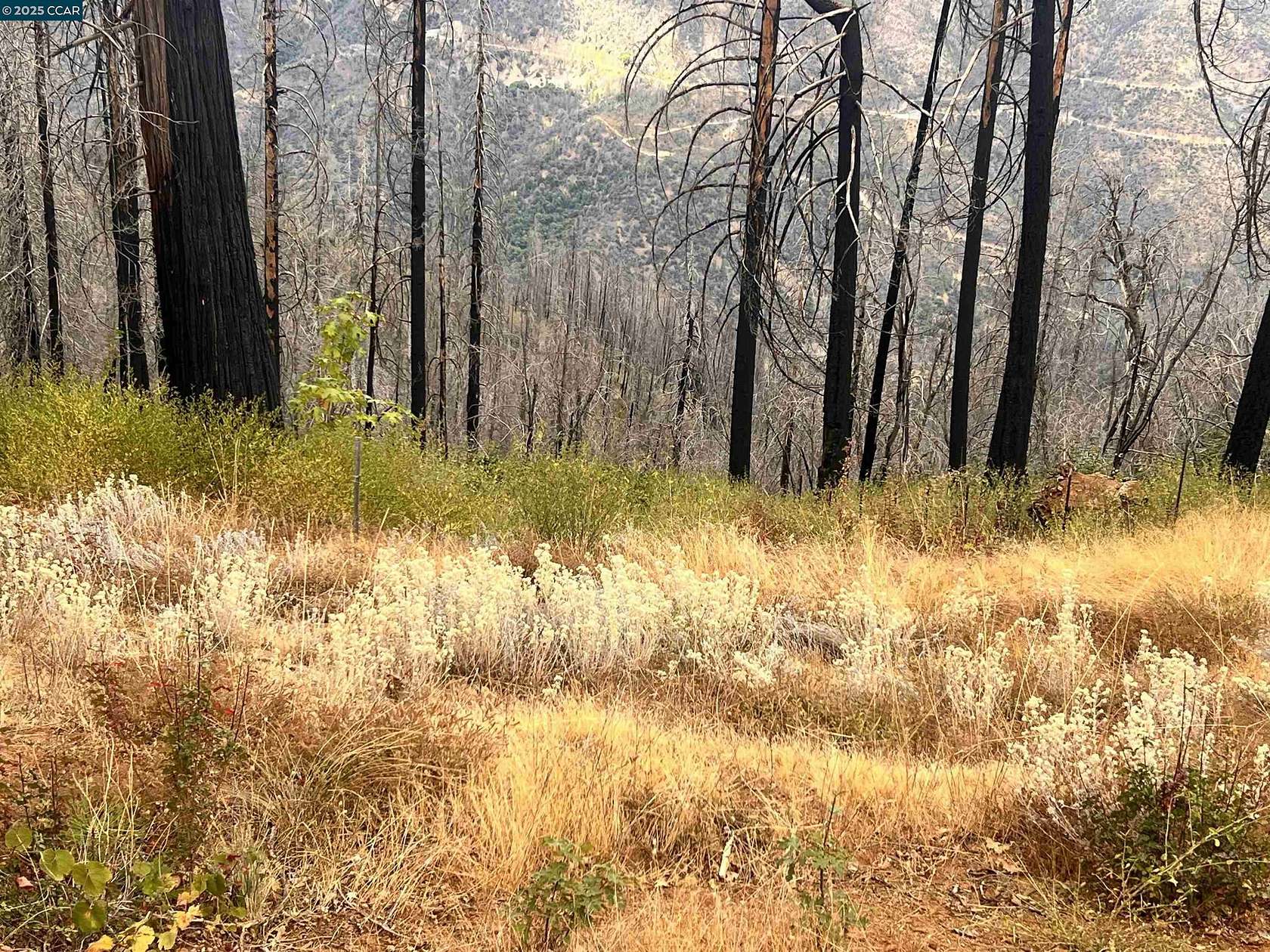 Land for Sale in Georgetown, California