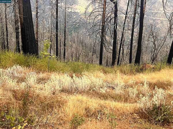 Land for Sale in Georgetown, California