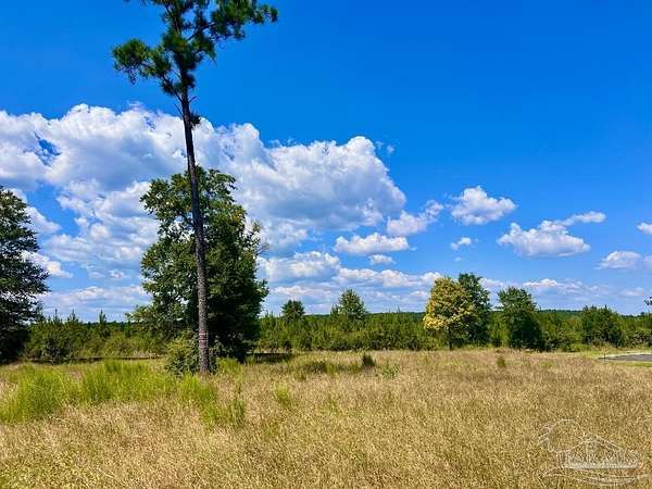5.22 Acres of Residential Land for Sale in Molino, Florida