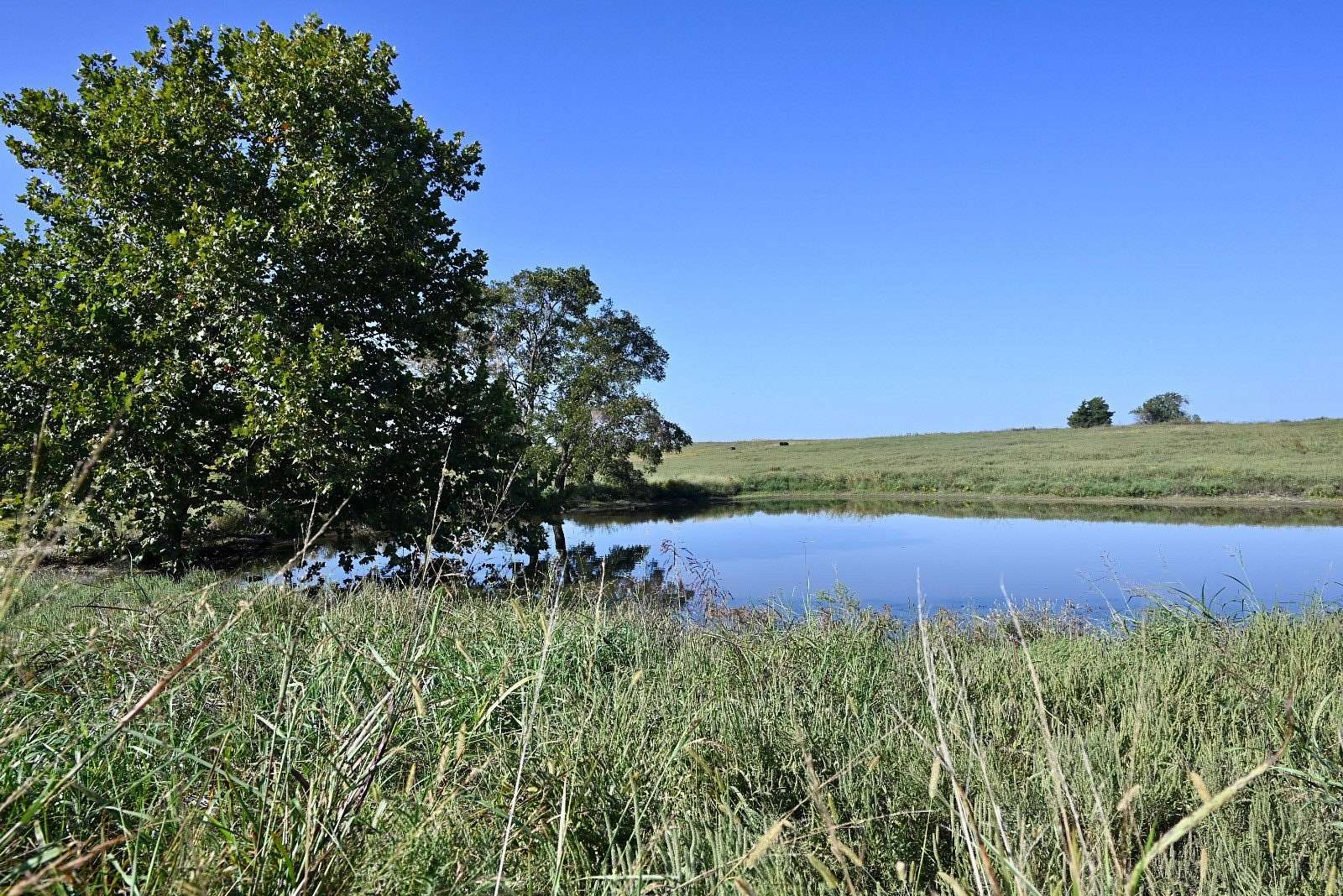 80 Acres of Agricultural Land with Home for Sale in Holdenville, Oklahoma