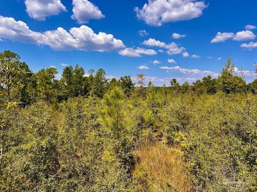 4.14 Acres of Residential Land for Sale in Molino, Florida