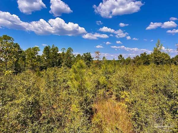 4.14 Acres of Residential Land for Sale in Molino, Florida