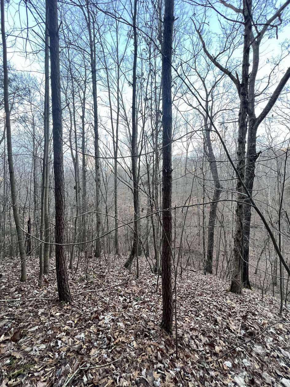 101 Acres of Land for Sale in Hohenwald, Tennessee