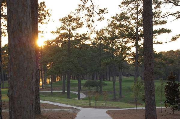 0.24 Acres of Residential Land for Sale in Brookeland, Texas