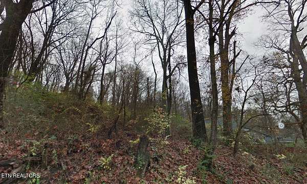 0.11 Acres of Residential Land for Sale in Knoxville, Tennessee