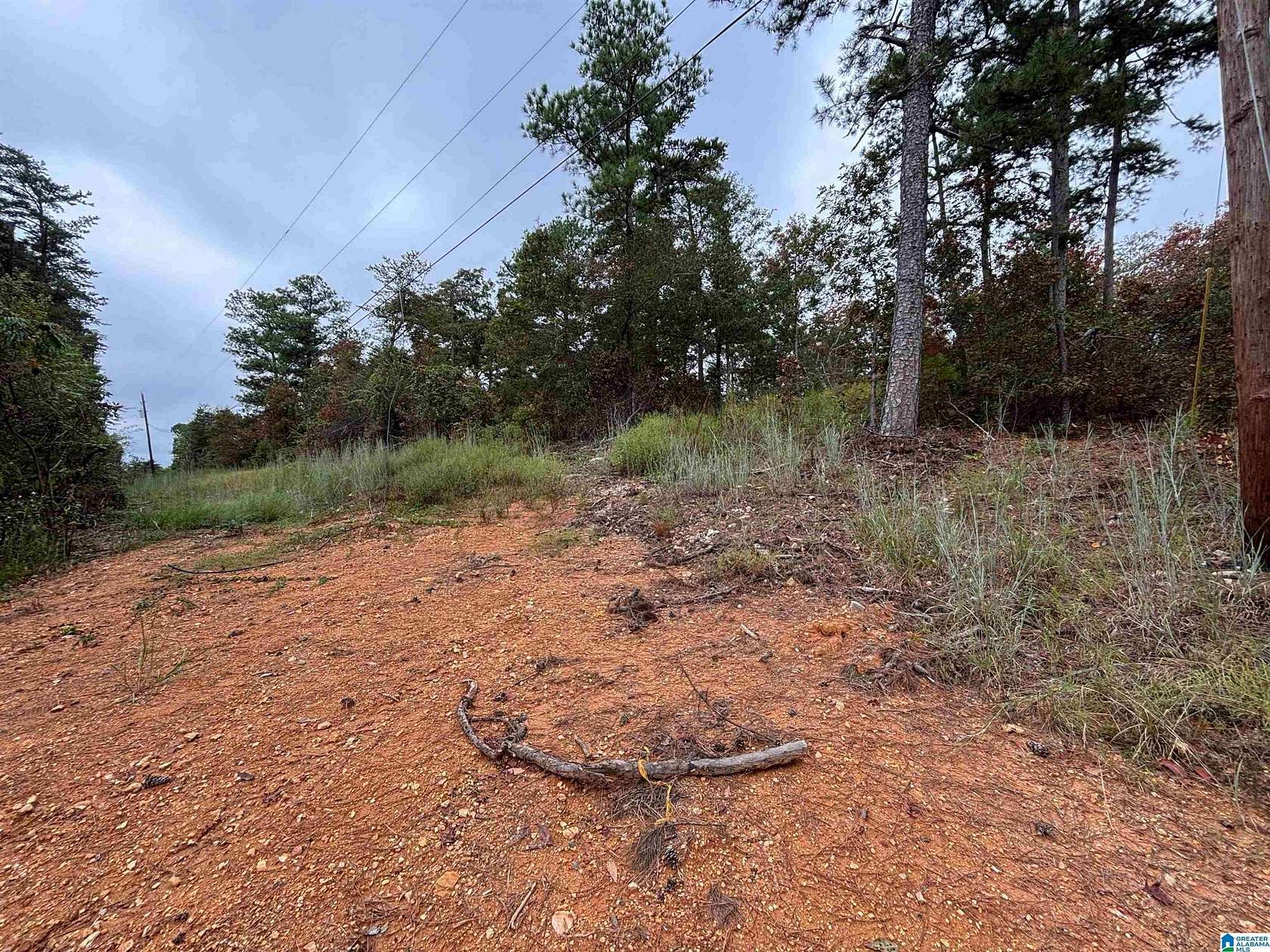 3.3 Acres of Land for Sale in Odenville, Alabama