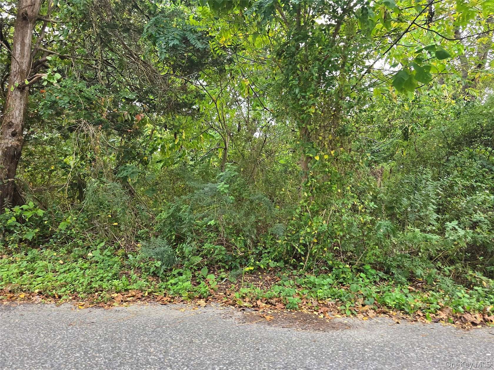 0.23 Acres of Residential Land for Sale in Mastic Beach, New York