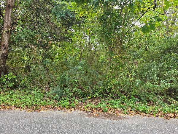 0.23 Acres of Residential Land for Sale in Mastic Beach, New York