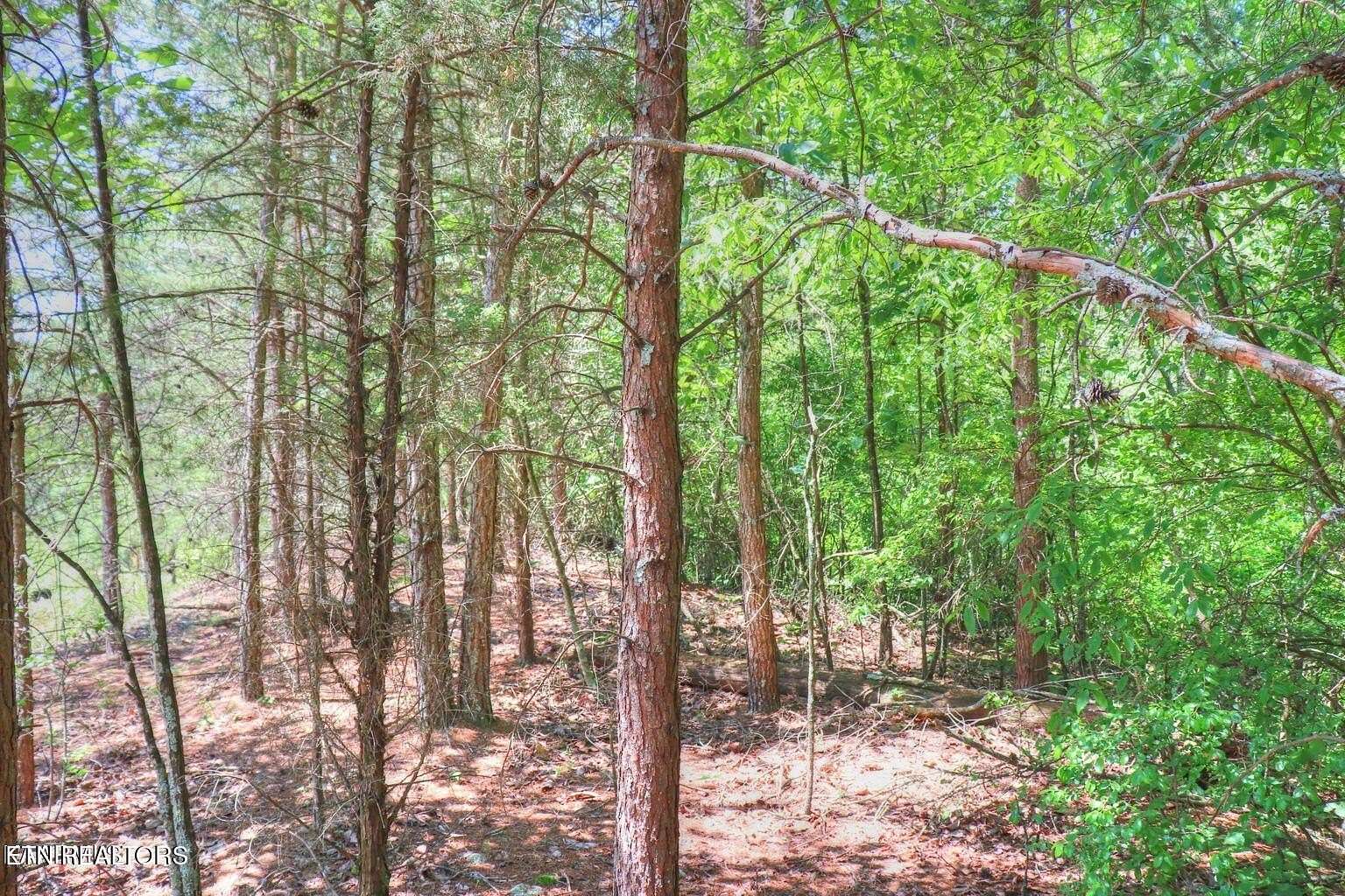 2.49 Acres of Residential Land for Sale in Rockwood, Tennessee