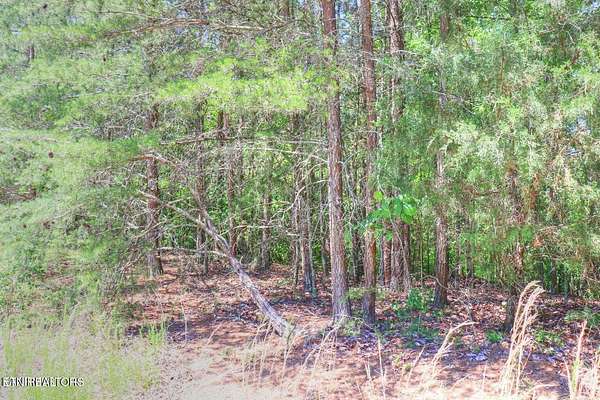 2.49 Acres of Residential Land for Sale in Rockwood, Tennessee