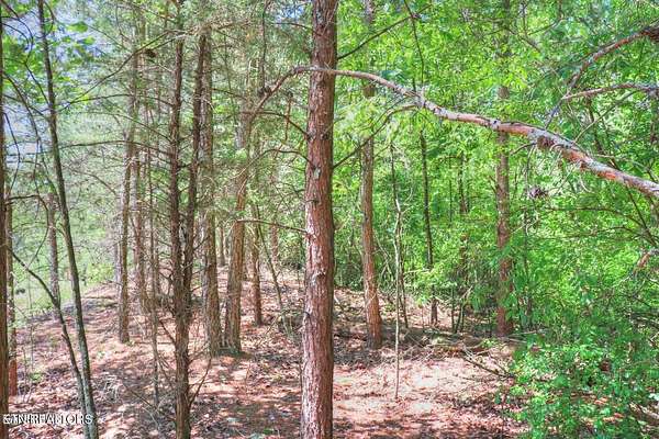 2.49 Acres of Residential Land for Sale in Rockwood, Tennessee