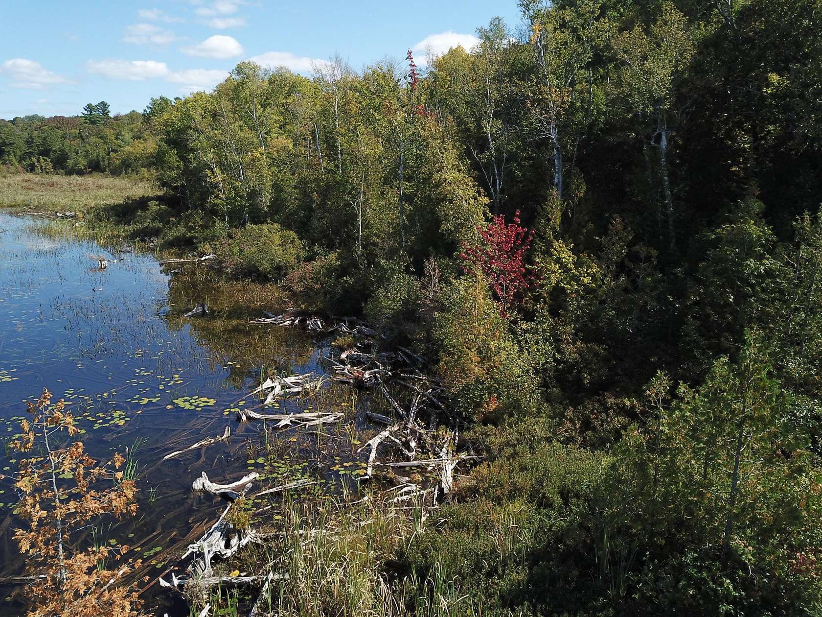 16.5 Acres of Land for Sale in Saint Albans, Maine