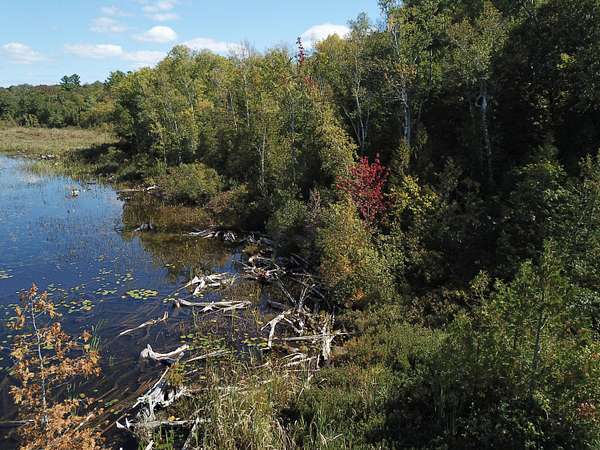 16.5 Acres of Land for Sale in Saint Albans, Maine