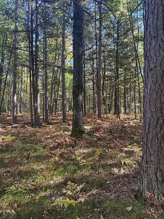 3.78 Acres of Residential Land for Sale in Prudenville, Michigan