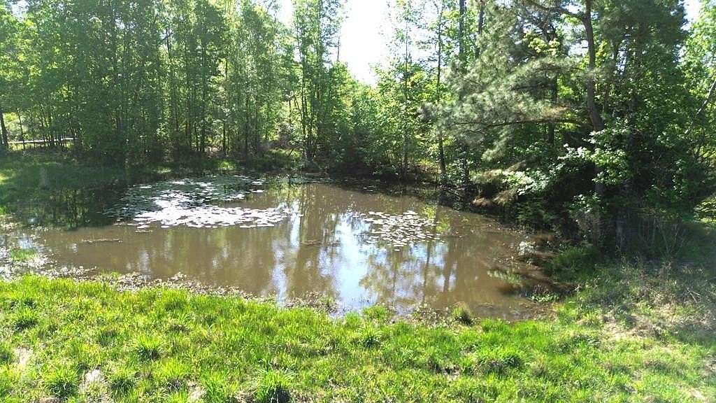 50 Acres of Recreational Land & Farm for Sale in Kennard, Texas