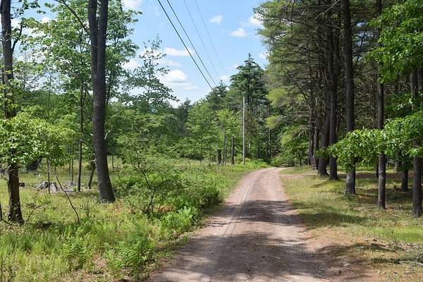 5.6 Acres of Land for Sale in Cairo, New York