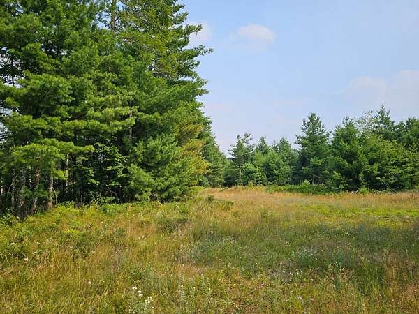 5 Acres of Recreational Land for Sale in Barnes Town, Wisconsin