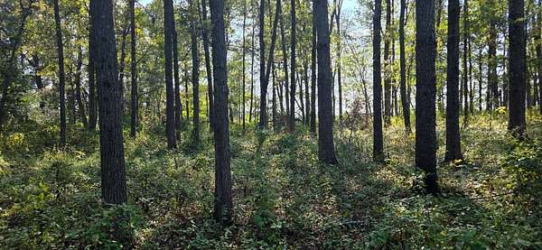 2 Acres of Residential Land for Sale in Fairfield, Illinois