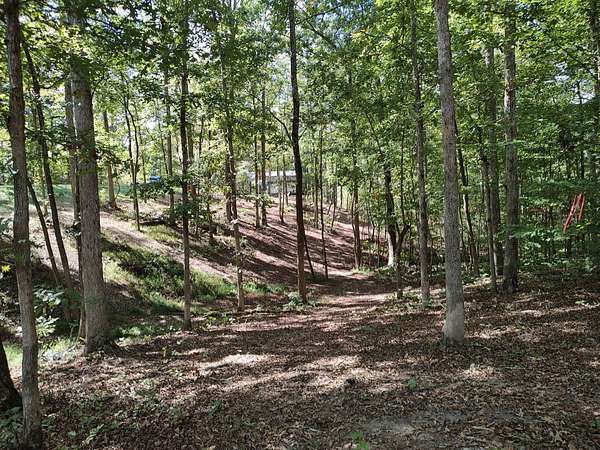 1.25 Acres of Land for Sale in Buchanan, Tennessee