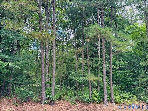 4.16 Acres of Residential Land for Sale in Greenwood, Virginia