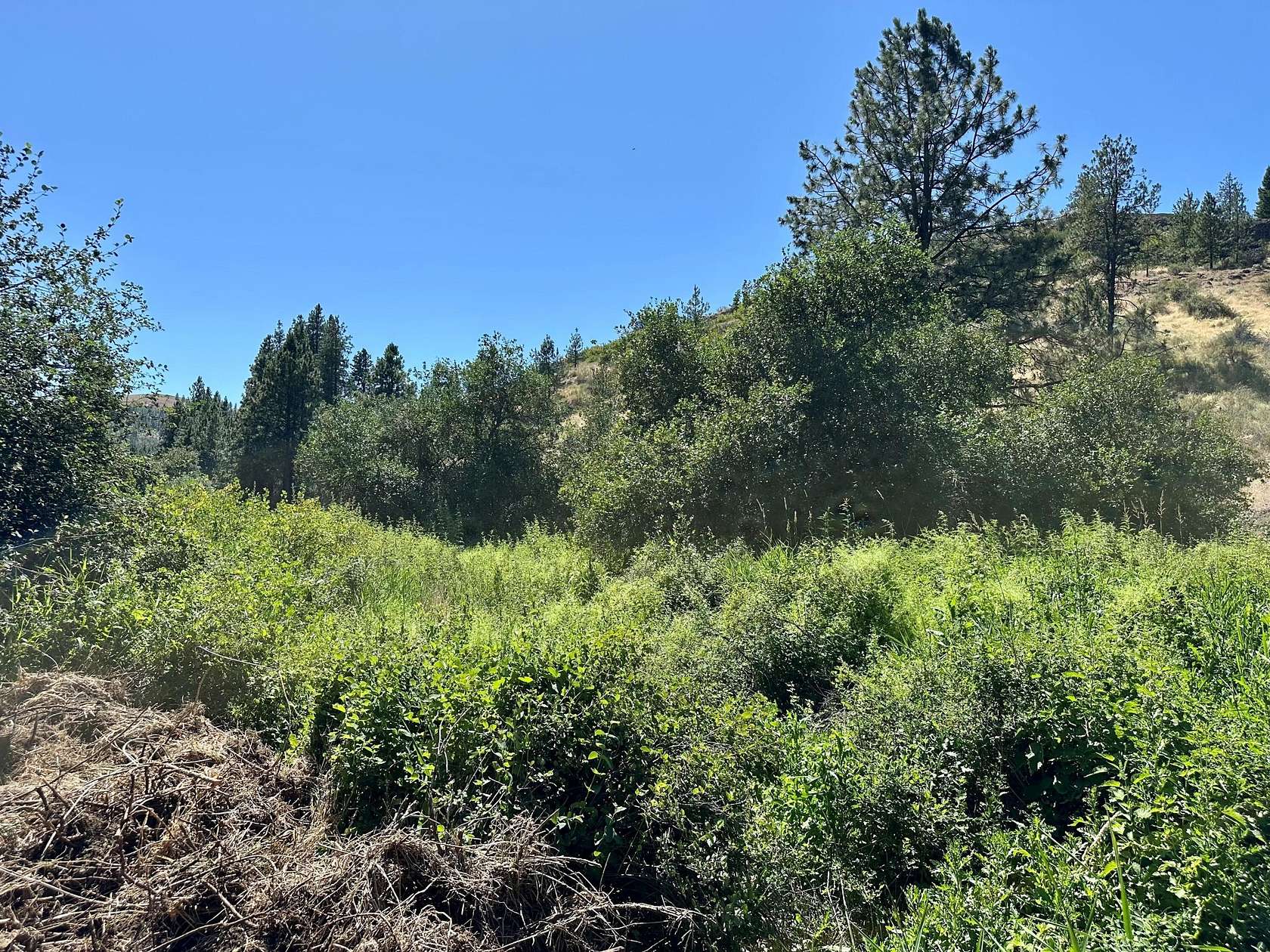 22 Acres of Land for Sale in Lincoln, Washington