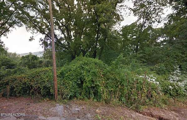 0.3 Acres of Residential Land for Sale in Knoxville, Tennessee