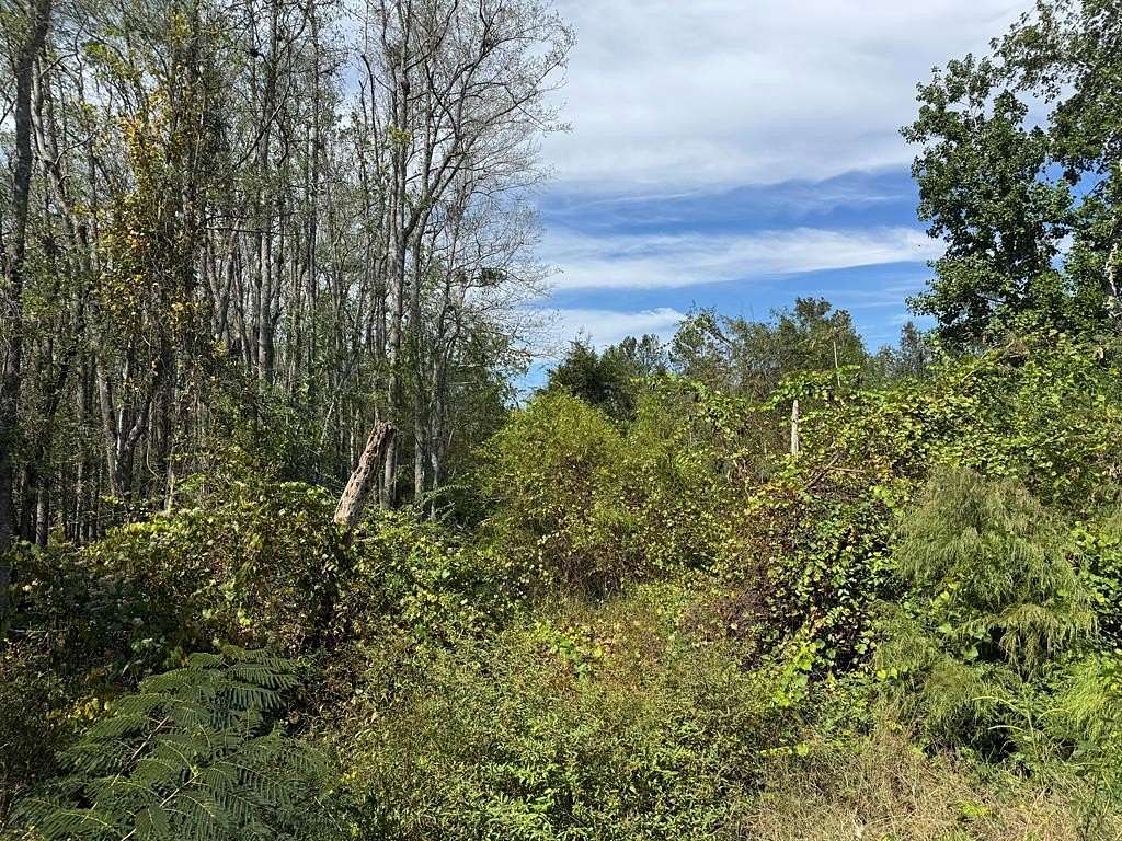 9.35 Acres of Residential Land for Sale in Baxley, Georgia