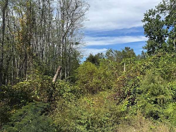 9.35 Acres of Residential Land for Sale in Baxley, Georgia