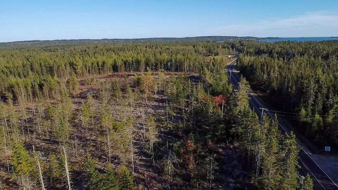 10.6 Acres of Land for Sale in Cutler, Maine