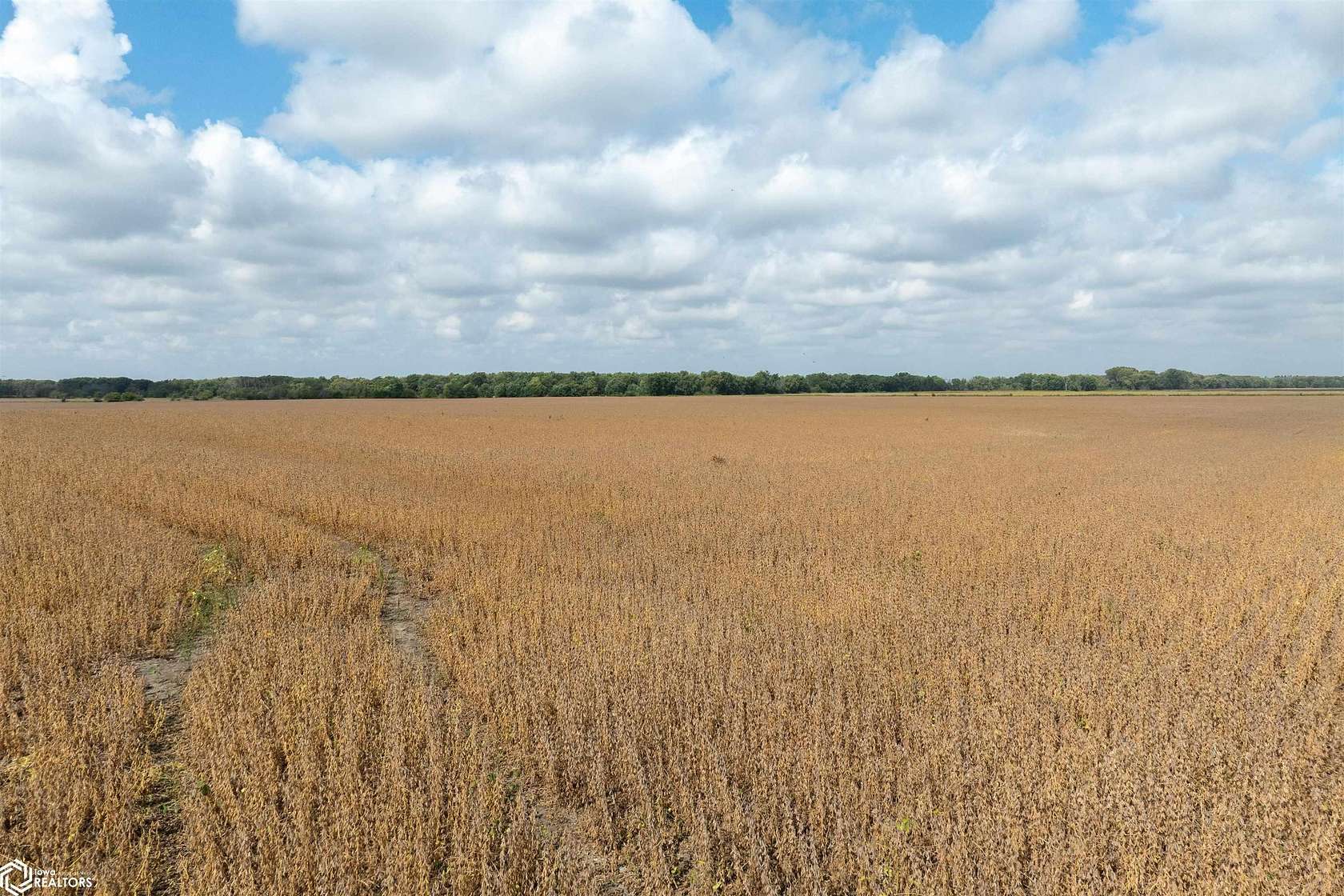 148 Acres of Agricultural Land for Sale in Reinbeck, Iowa