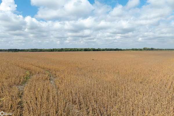 148 Acres of Agricultural Land for Sale in Reinbeck, Iowa