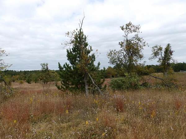 10 Acres of Recreational Land for Sale in Johannesburg, Michigan