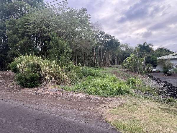 0.39 Acres of Residential Land for Sale in Hilo, Hawaii