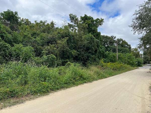0.32 Acres of Residential Land for Sale in Williston, Florida